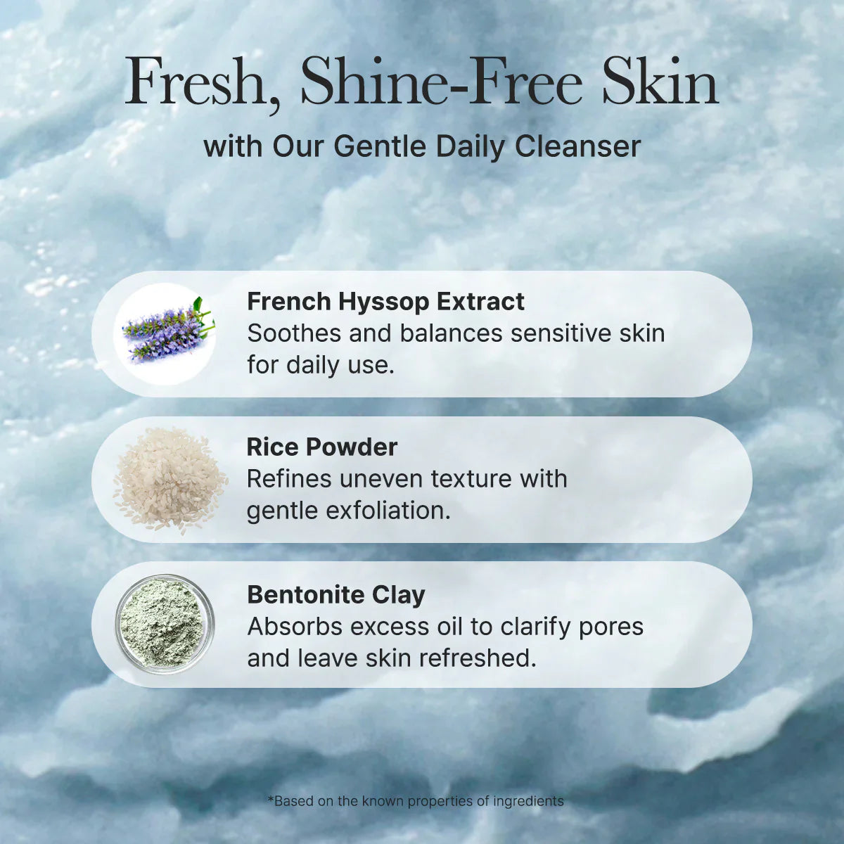 [Arencia] Fresh Blue Hyssop Rice Mochi Cleanser (120g/4.23fl.oz)