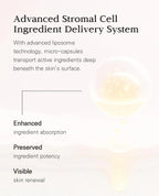 Blanc Dubu Nuborn Cell Hydrogel Collagen Mask (4-Pack) | Hydrogel Firming Mask for Deep Hydration & Glass Skin Glow