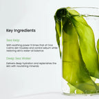 Biodance Refreshing Sea Kelp Real Deep Mask (1 Box / 4 Sheets) | K-Beauty 10% Kelp Ferment Hydrogel Overnight Mask